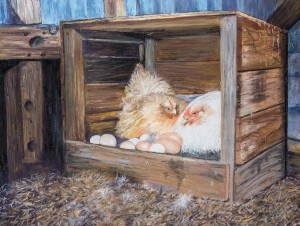 Colleen Ryan - The Hen House