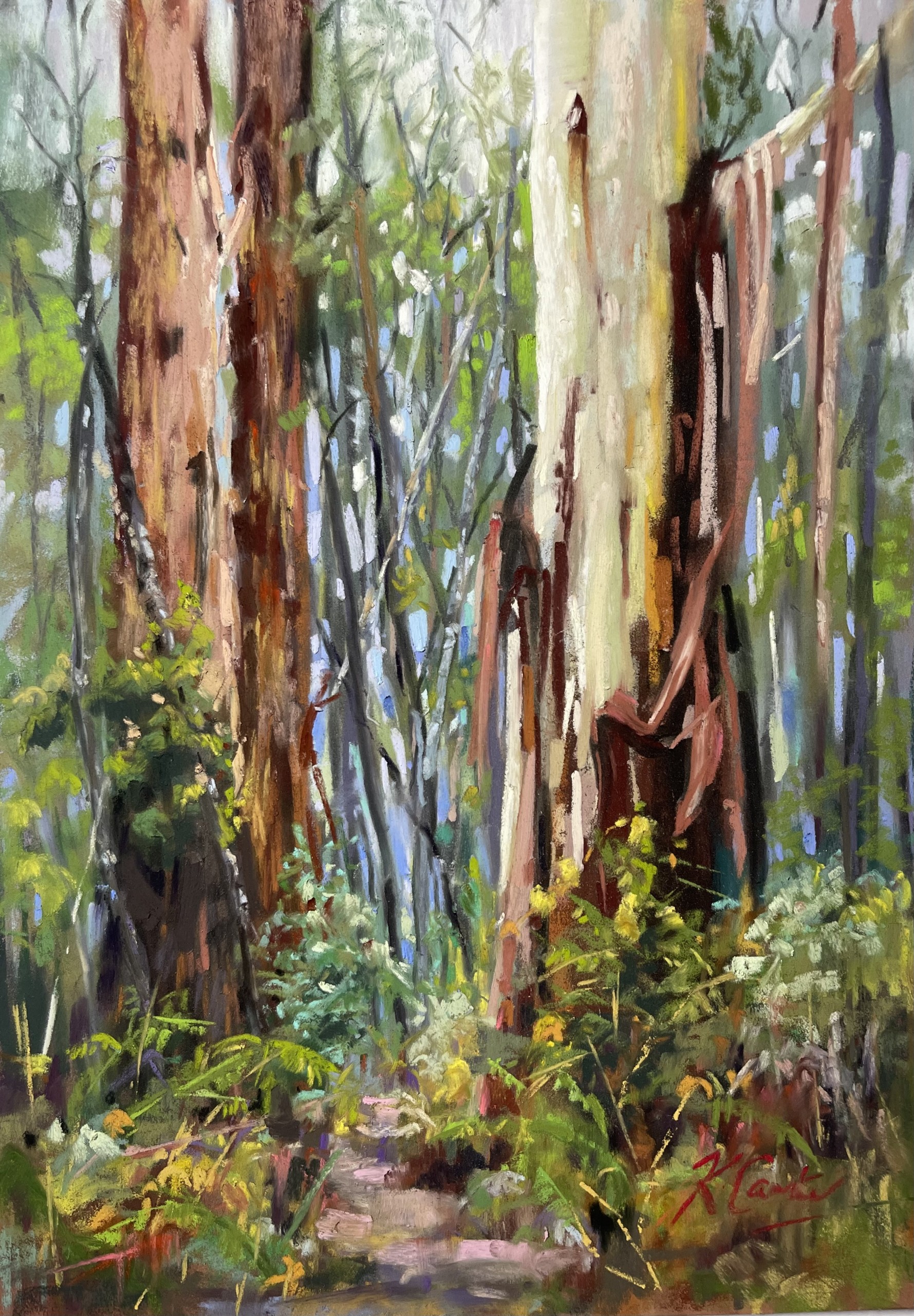 Kerrie Carter_Beyond the Majestic Gums